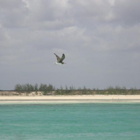 Chiky Villa Watamu Dış mekan fotoğraf