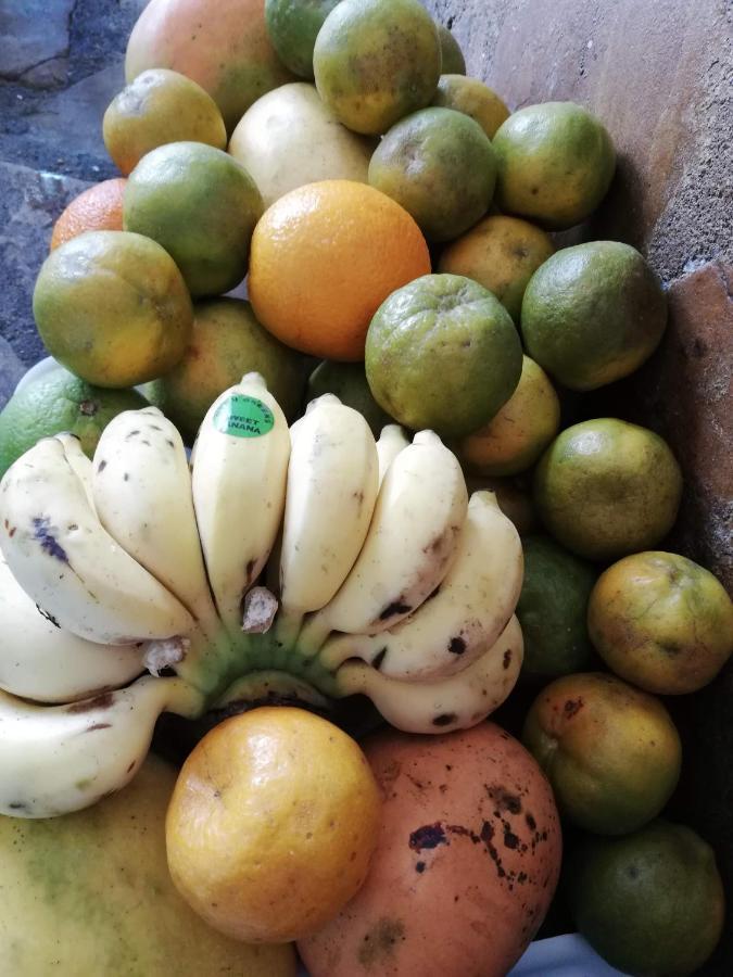 Chiky Villa Watamu Dış mekan fotoğraf
