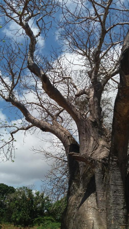 Chiky Villa Watamu Dış mekan fotoğraf